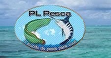 Site de compras